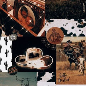 Meet your Posher, Tahnna